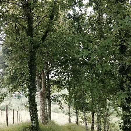 Casa Dalevada, Veade Gæstehus 3*