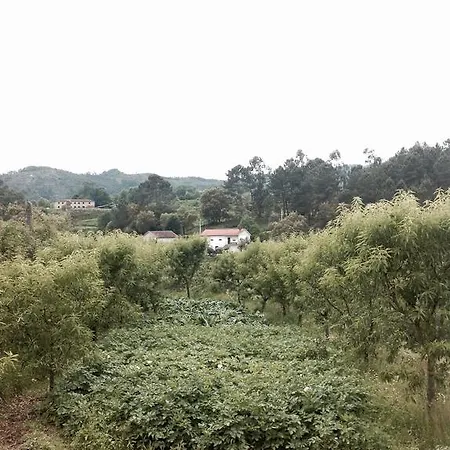 Casa Dalevada, Veade Gæstehus Celorico De Basto
