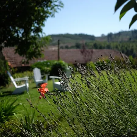 Casa Dalevada, Veade Gæstehus Celorico De Basto