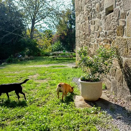 Casa Dalevada, Veade 3*